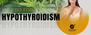 CBD and Hypothyroidism
