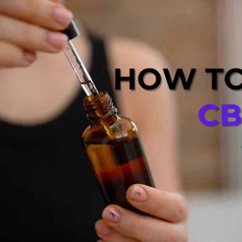 How to Use CBD Oil: A Guide for Dummies