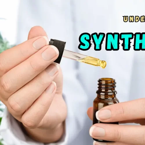 Understanding Synthetic CBD: Explanation, Comparison, and More